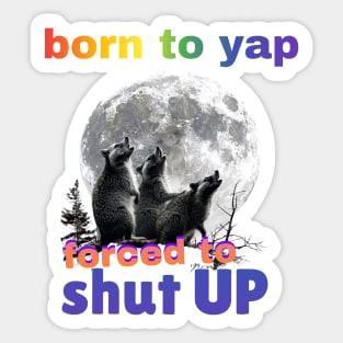 Born To Yap, Forced To Shut Up Funny Three Raccoons Howling at Moon Sticker